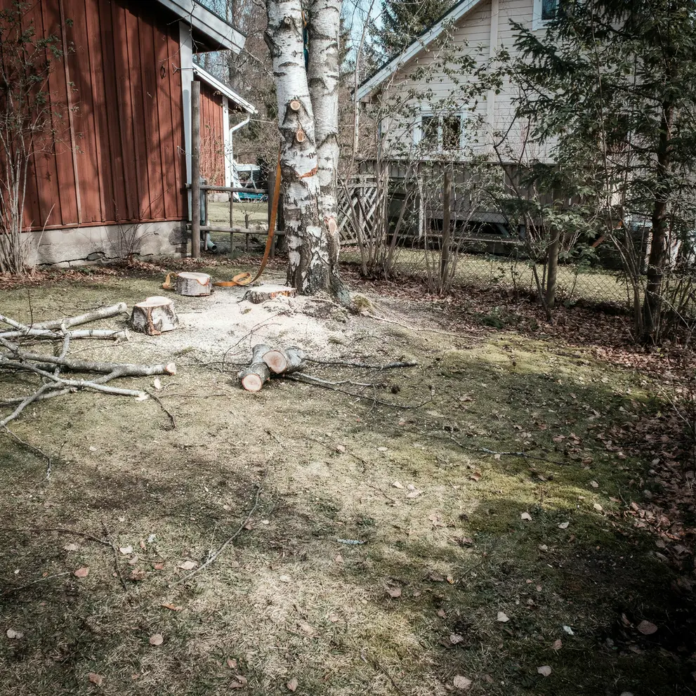 tradfallning arboristtjanster sektionsfallning knivsta uppsala
